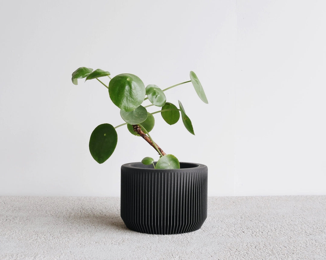 Discovery Collection | Blumentopf Praha