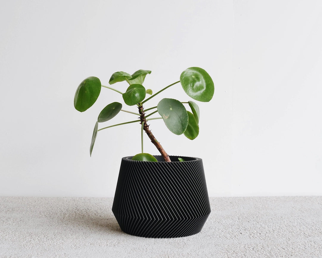 Discovery Collection | Blumentopf Oslo