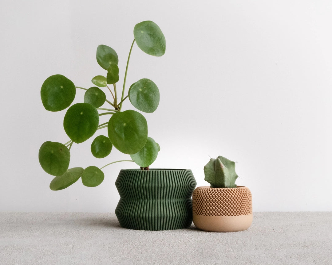 Nature Collection | Blumentopf Ito