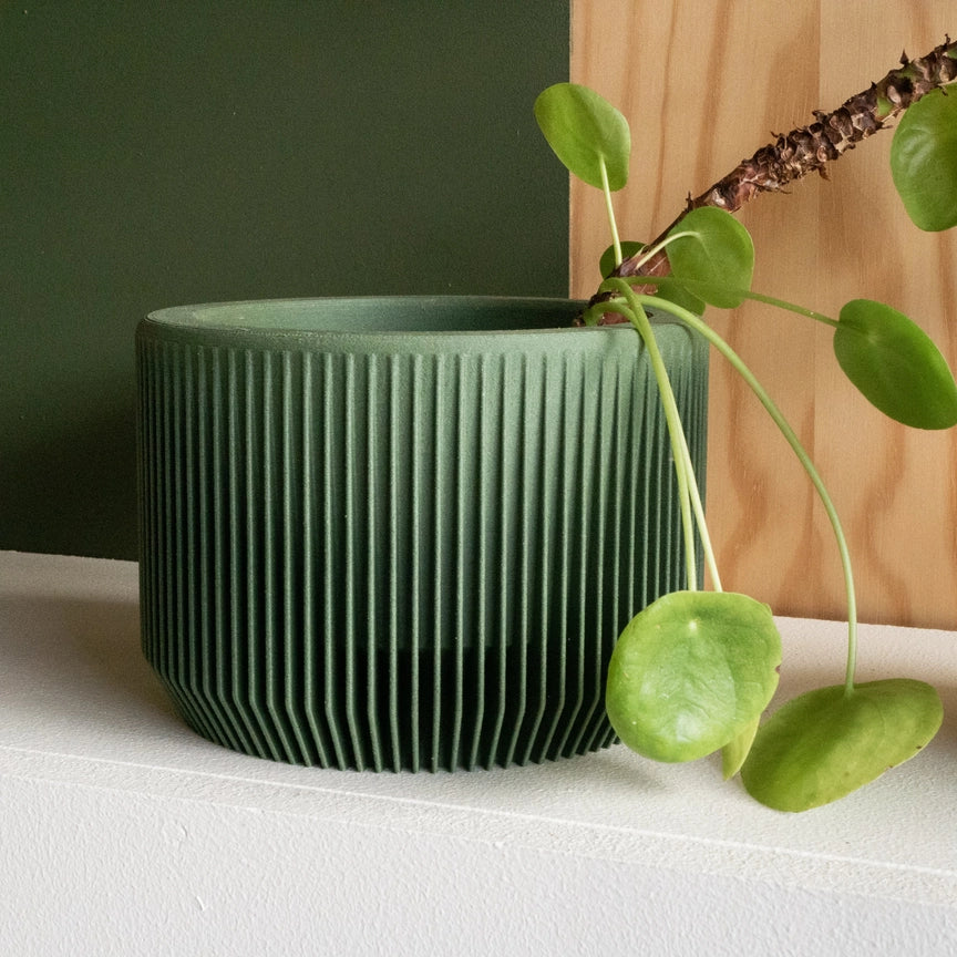 Discovery Collection | Blumentopf Praha