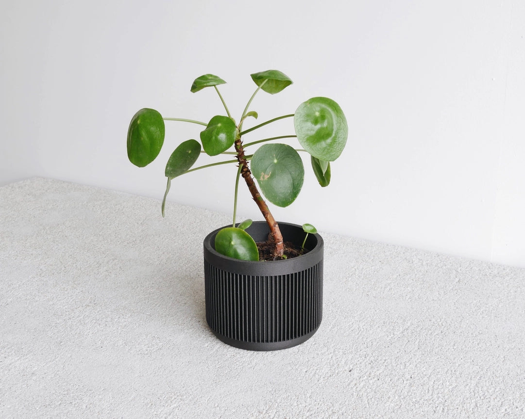 Discovery Collection | Blumentopf Japan