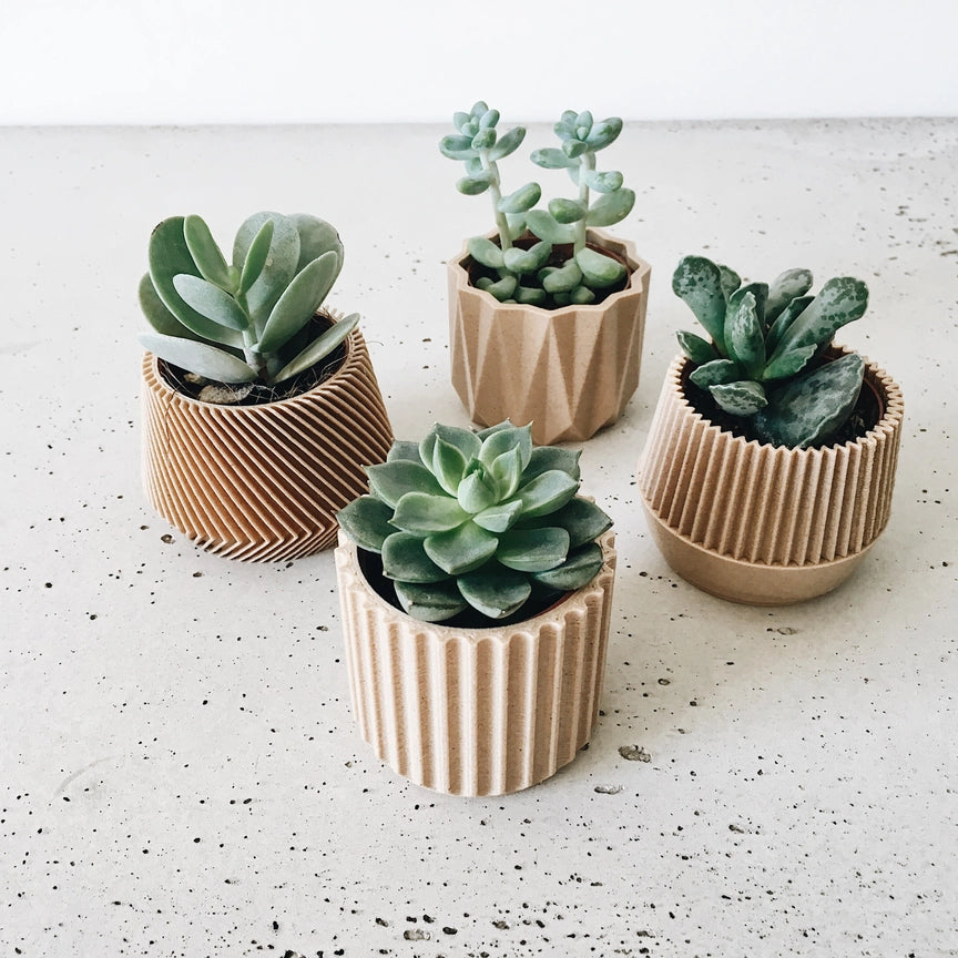 Discovery Collection | Blumentopf Set