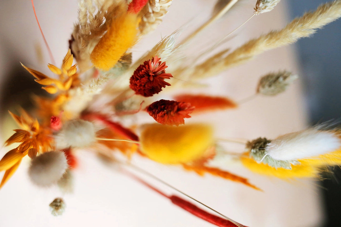 Wild Collection | Trockenblumenstrauss Pumpkin Posy