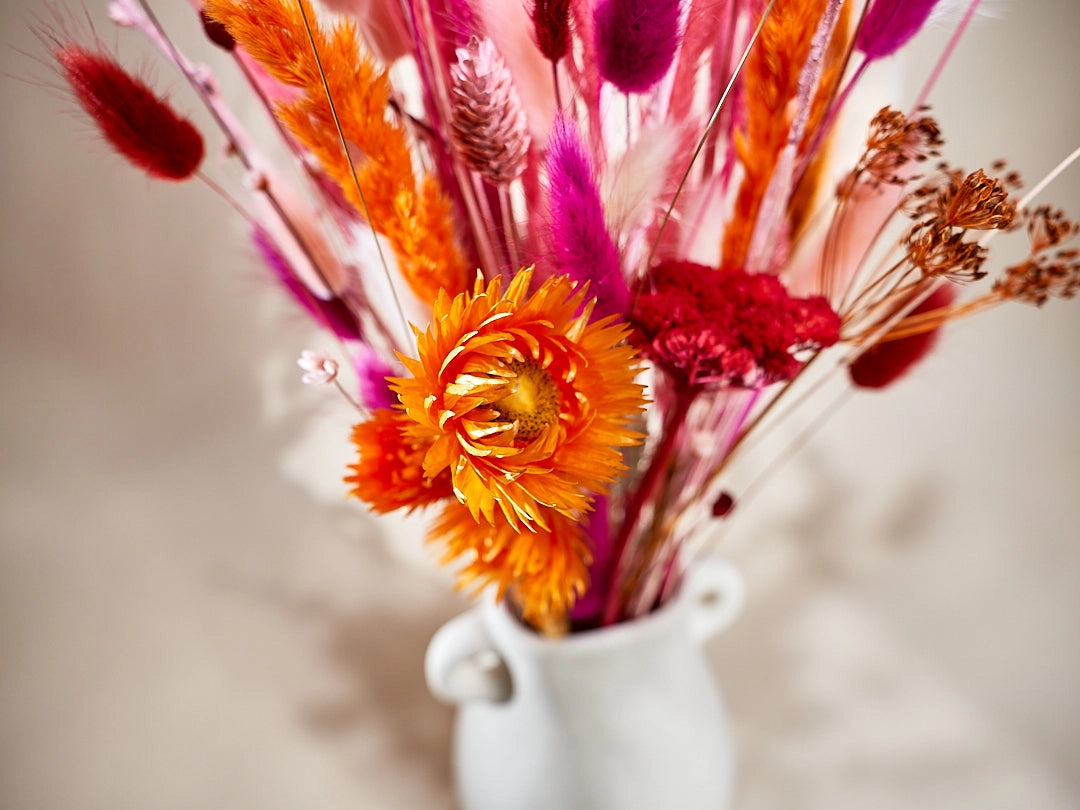 Wild Collection | Trockenblumenstrauss Coral