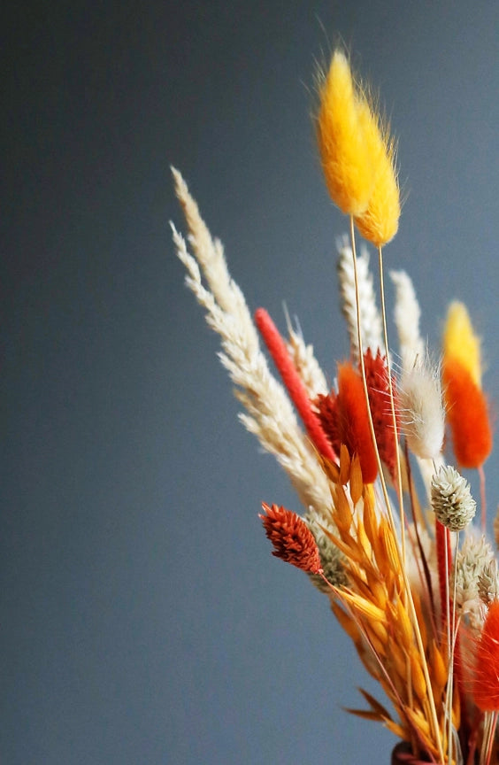 Wild Collection | Trockenblumenstrauss Pumpkin Posy