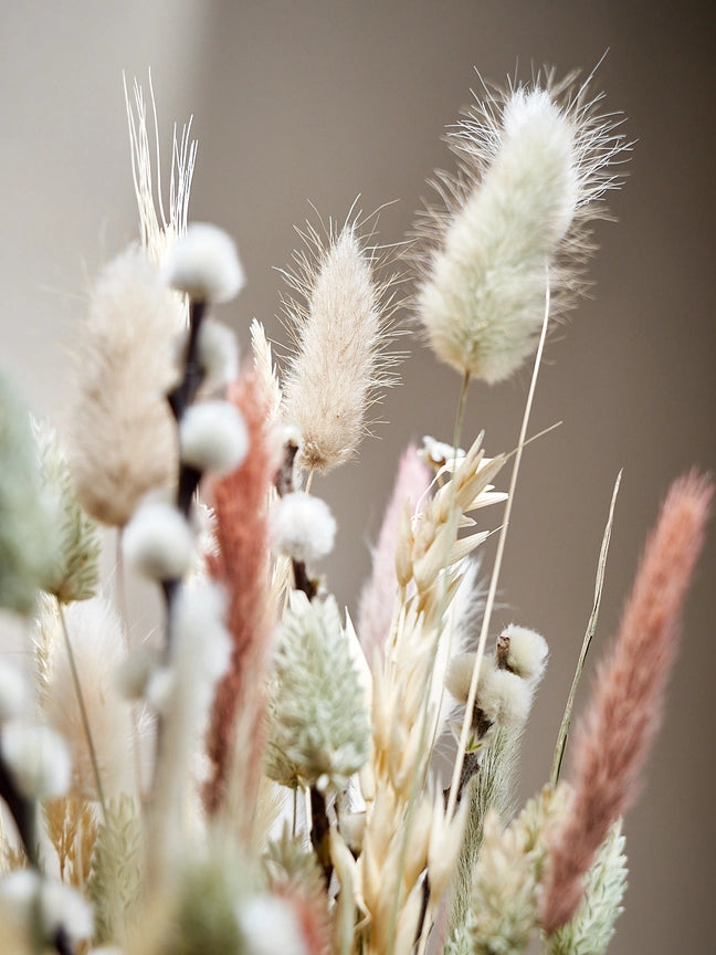 Wild Collection | Trockenblumenstrauss Alabaster