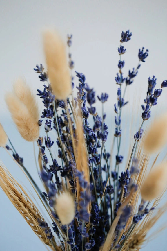 Wild Collection | Trockenblumenstrauss Provence