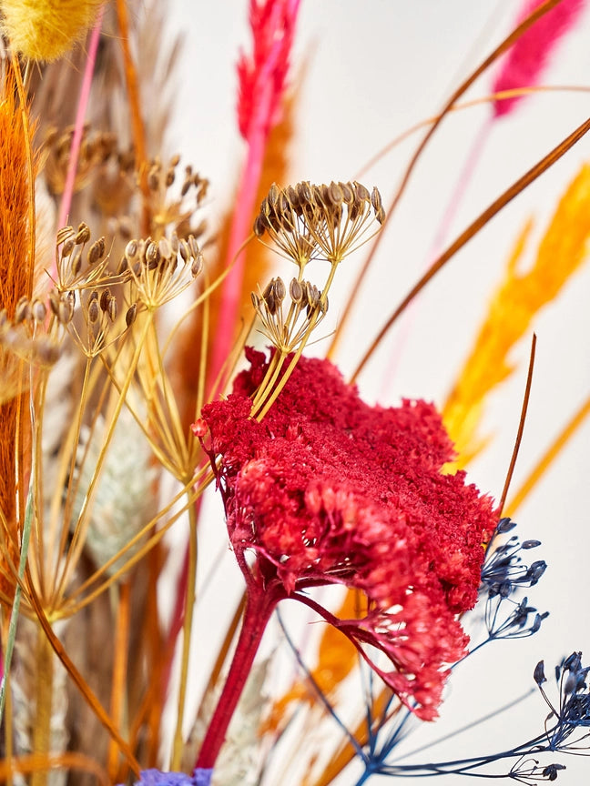 Wild Collection | Trockenblumenstrauss Wild Side