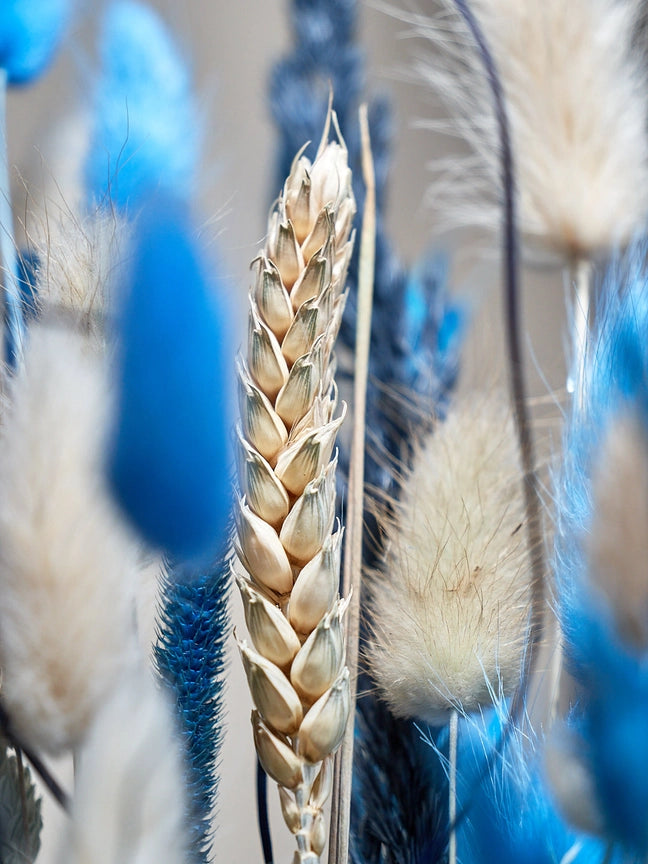 Wild Collection | Trockenblumenstrauss Indigo