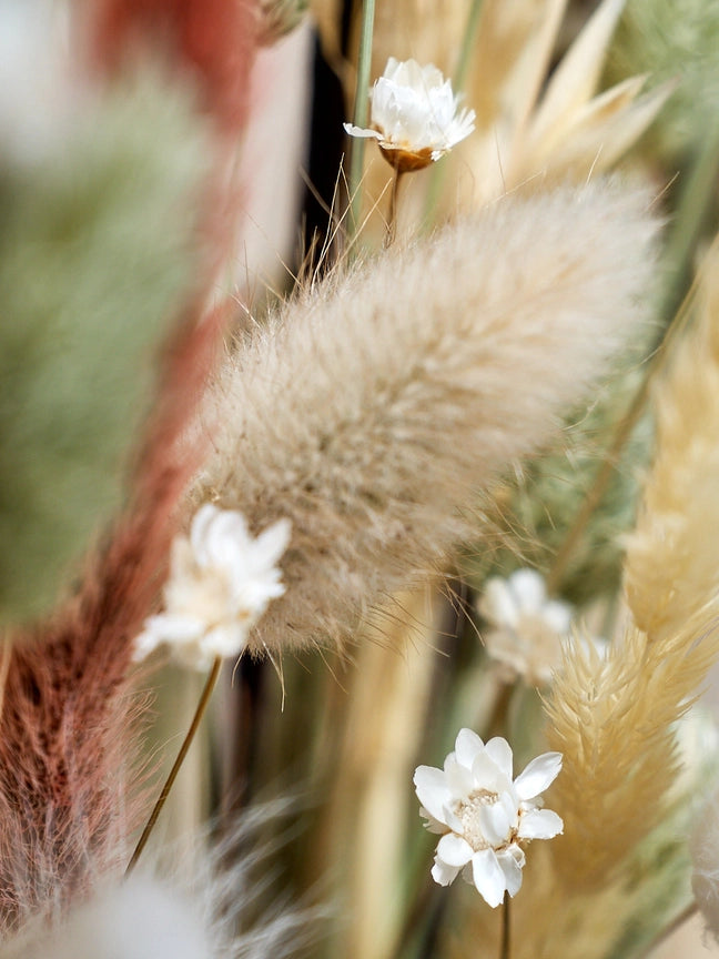 Wild Collection | Trockenblumenstrauss Alabaster