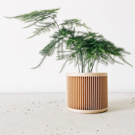 Discovery Collection | Blumentopf Japan
