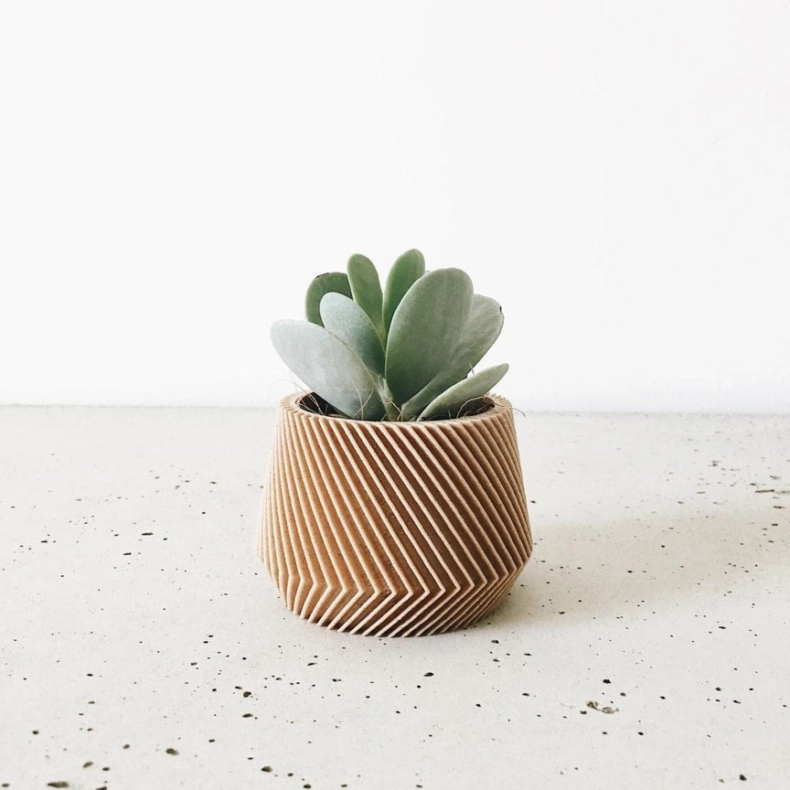 Discovery Collection | Blumentopf Oslo
