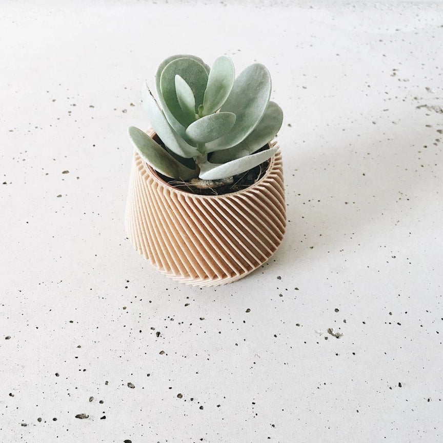 Discovery Collection | Blumentopf Oslo