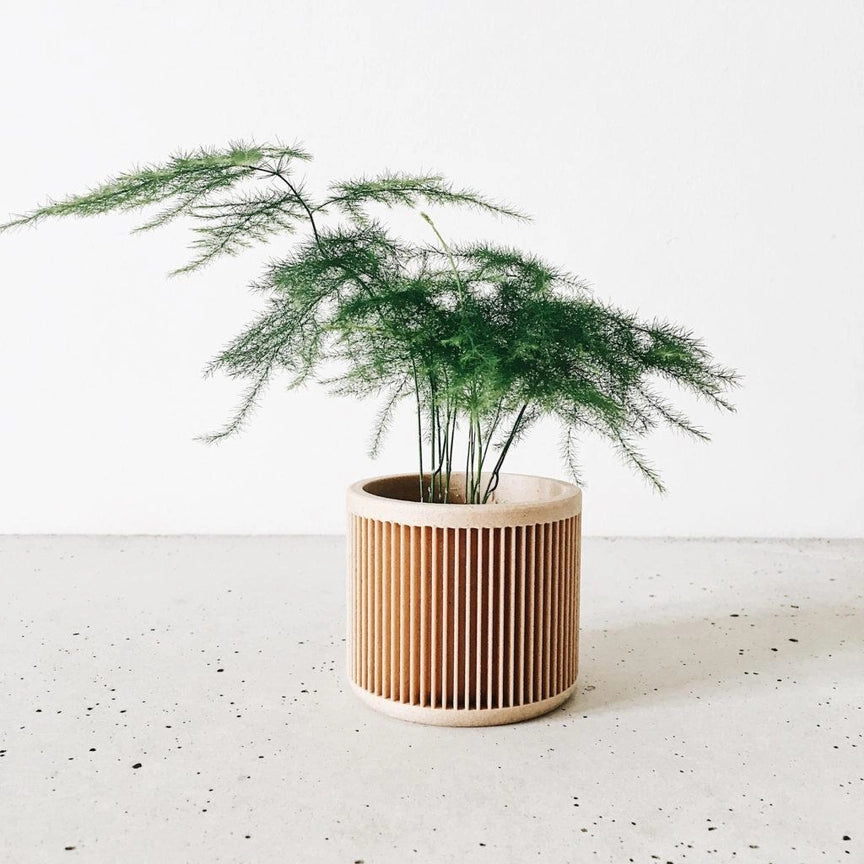 Discovery Collection | Blumentopf Japan