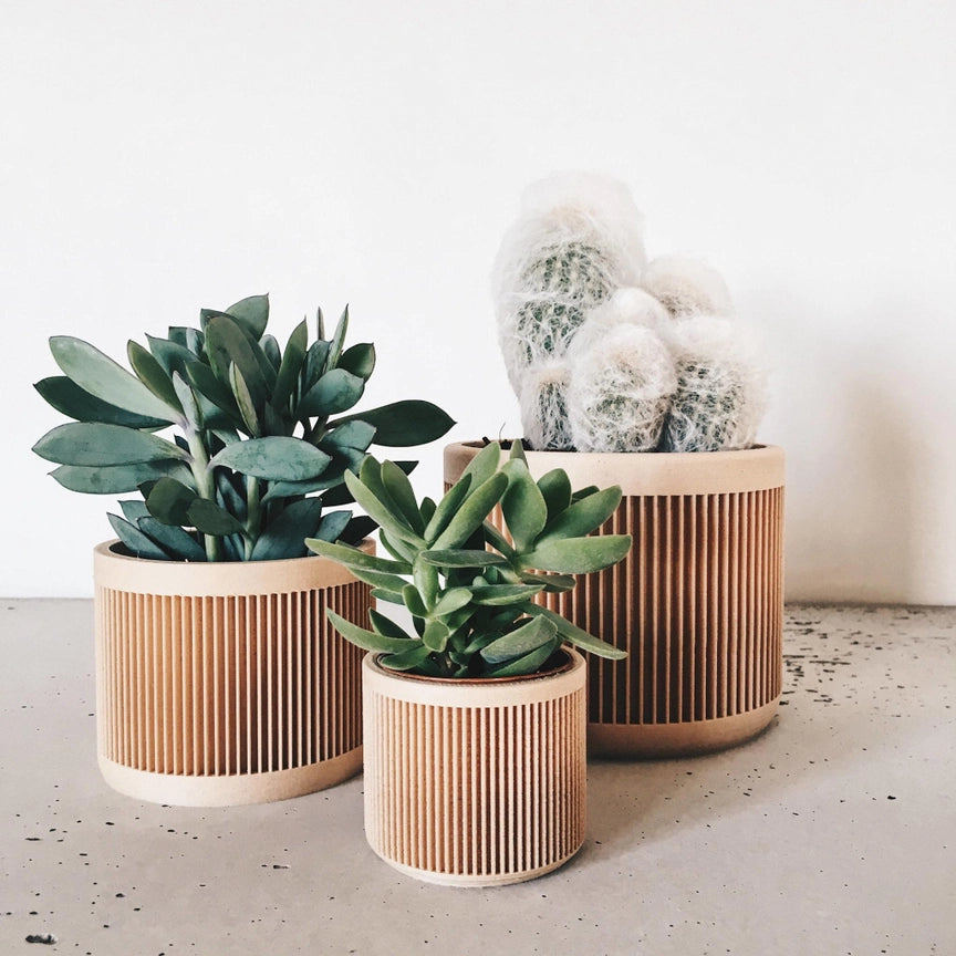Discovery Collection | Blumentopf Japan