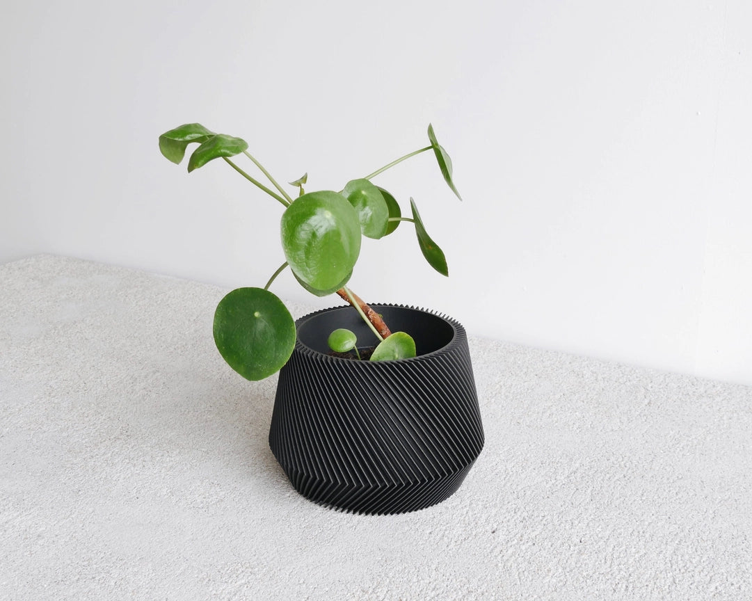 Discovery Collection | Blumentopf Oslo