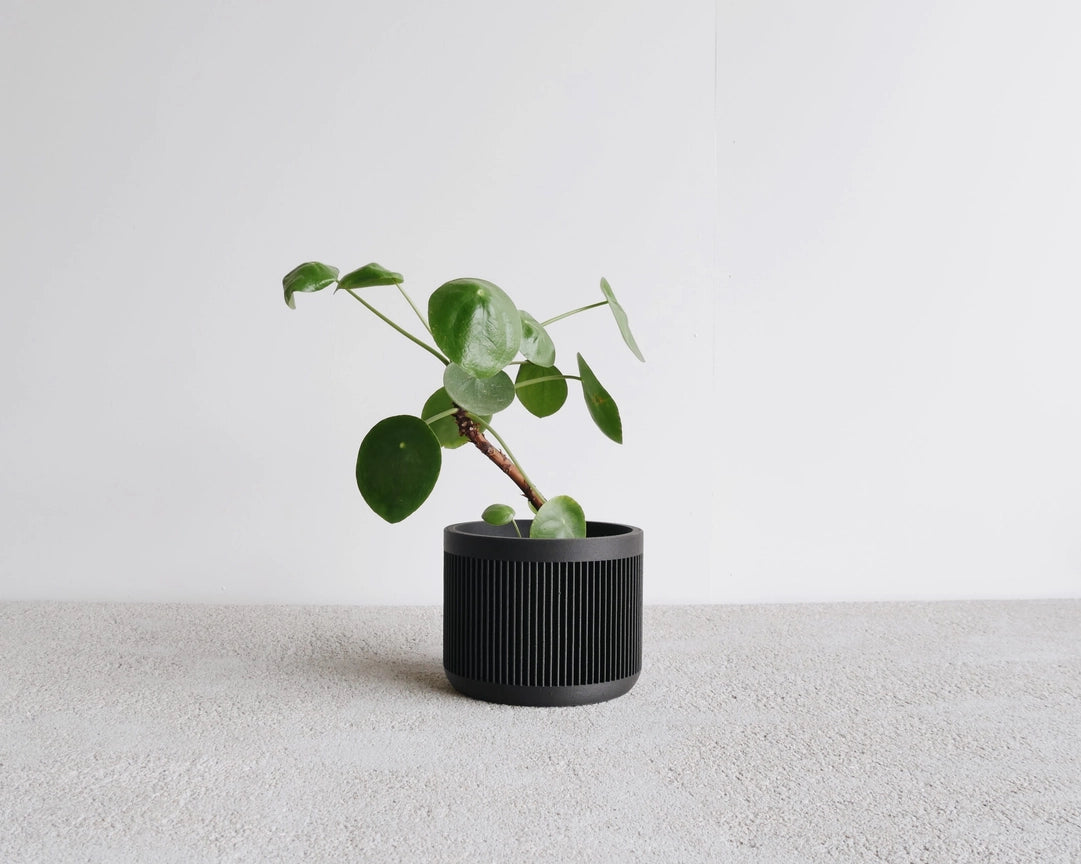 Discovery Collection | Blumentopf Japan