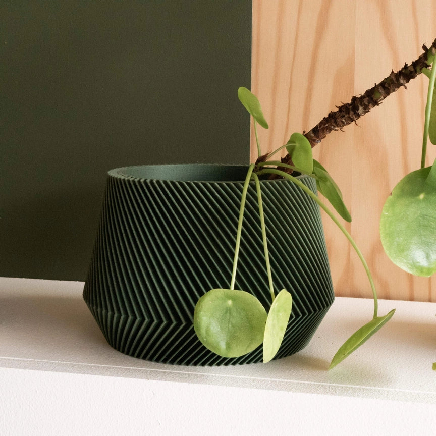 Discovery Collection | Blumentopf Oslo