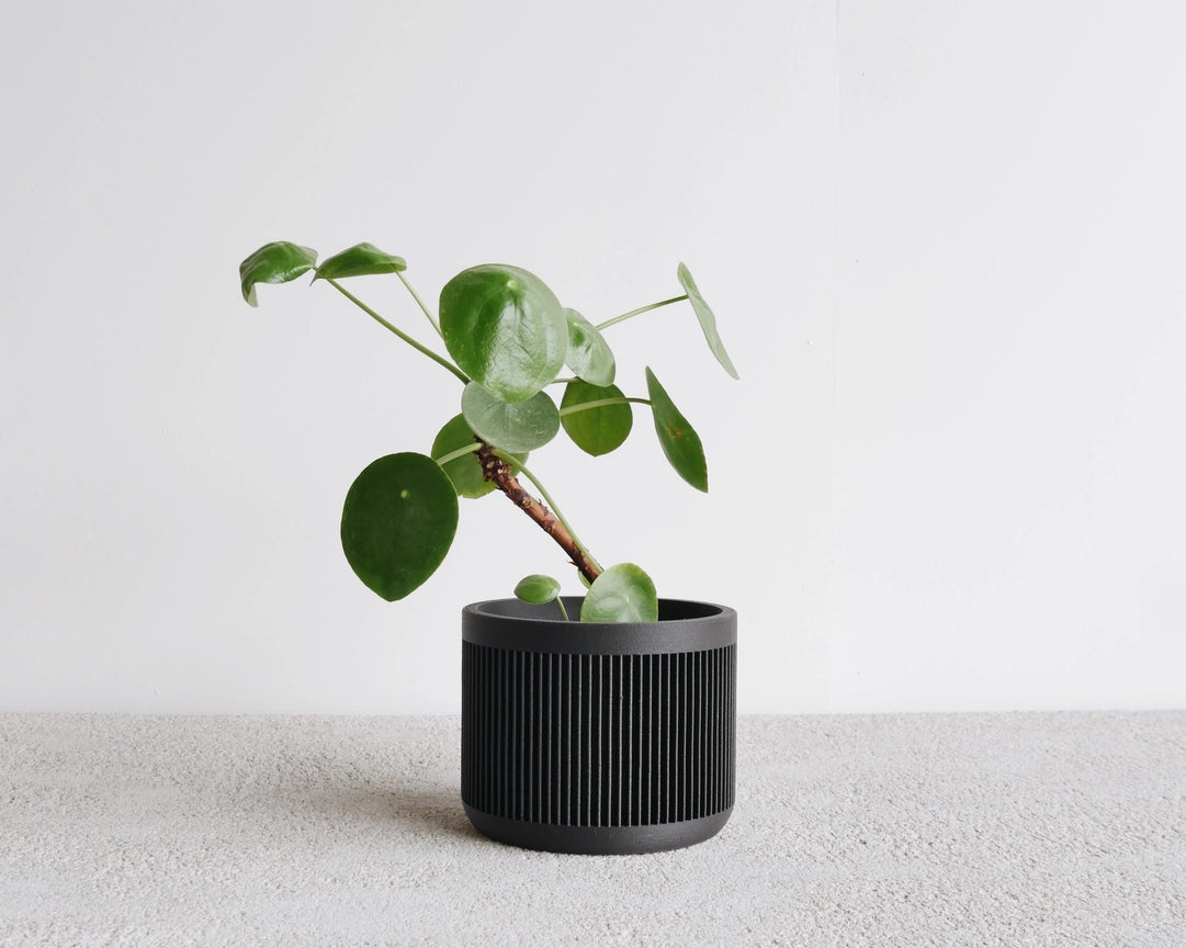 Discovery Collection | Blumentopf Japan