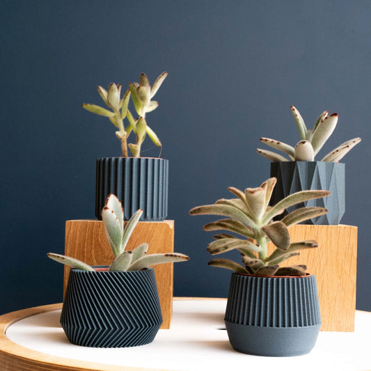 Discovery Collection | Blumentopf Set