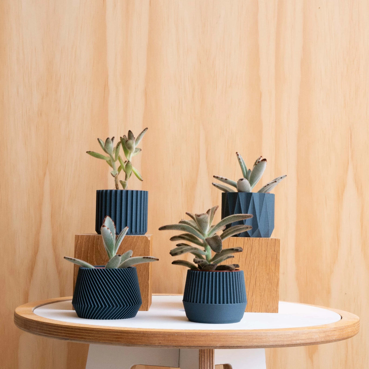Discovery Collection | Blumentopf Set