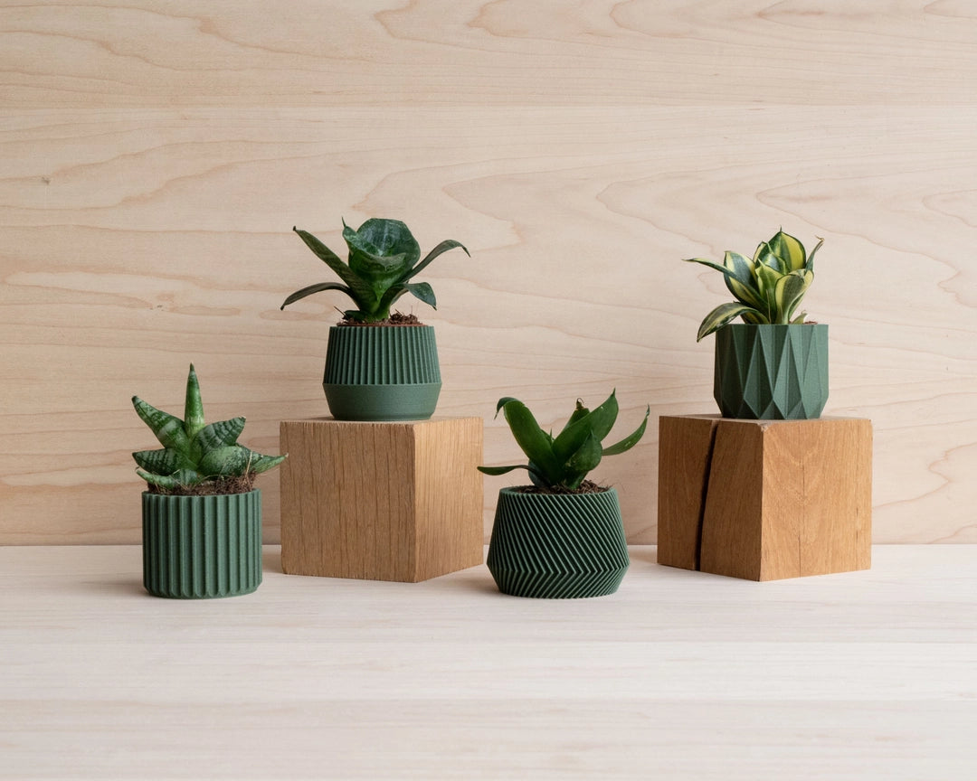 Discovery Collection | Blumentopf Set