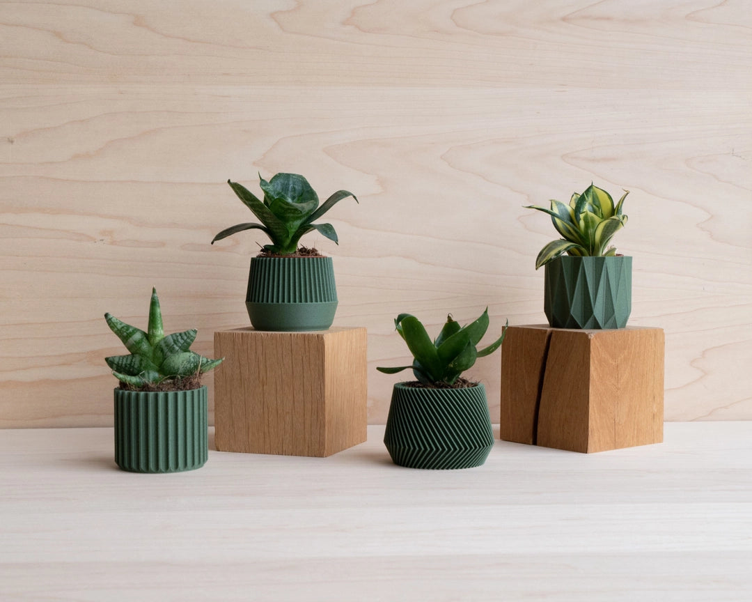 Discovery Collection | Blumentopf Set