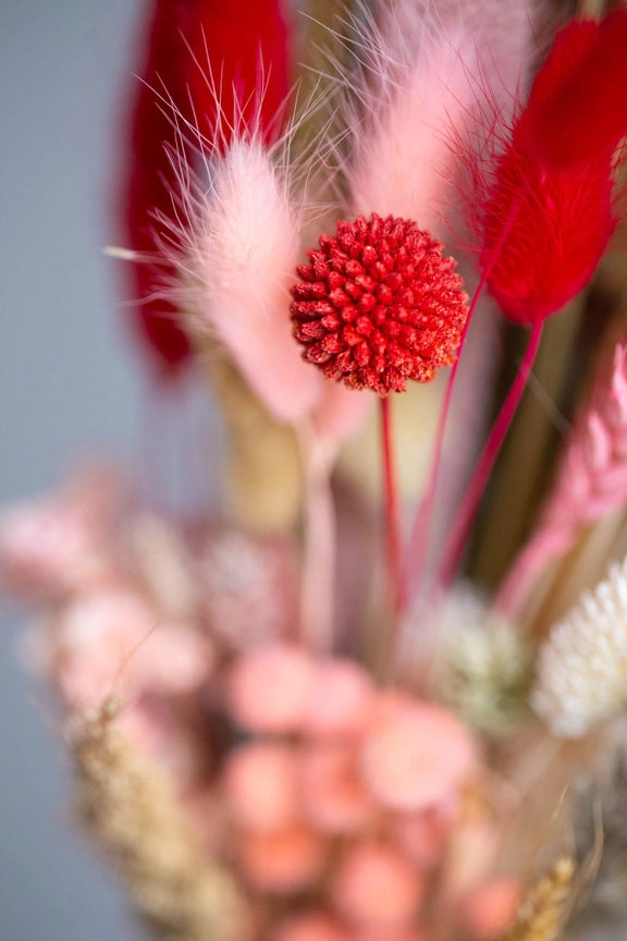 Wild Collection | Trockenblumenstrauss Love Bouquet