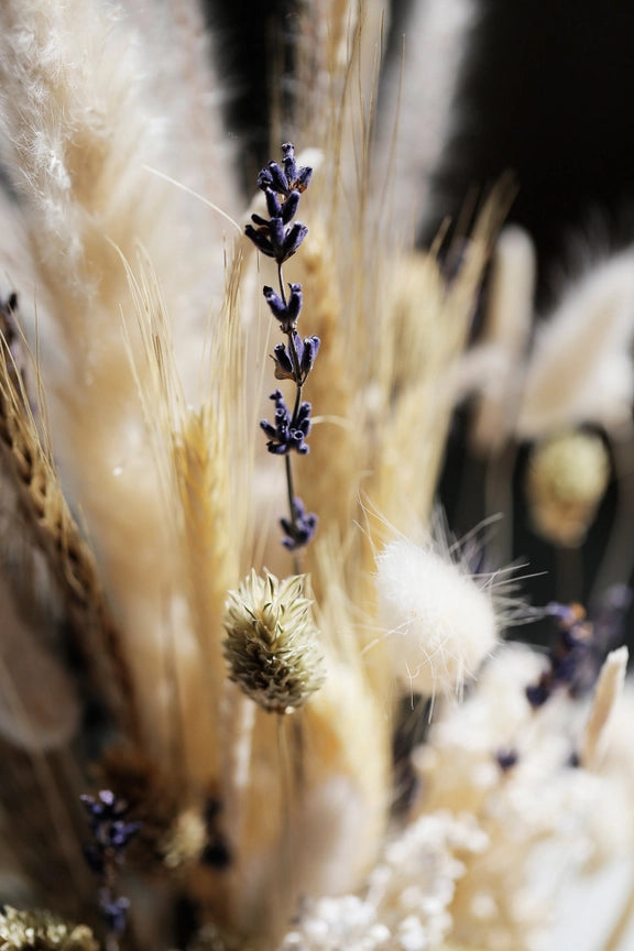 Wild Collection | Trockenblumenstrauss White Meadow