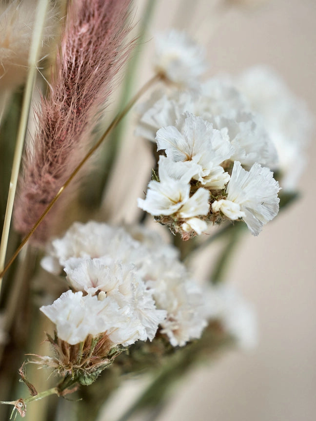 Wild Collection | Trockenblumenstrauss Alabaster