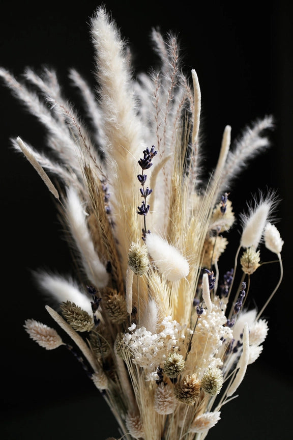 Wild Collection | Trockenblumenstrauss White Meadow