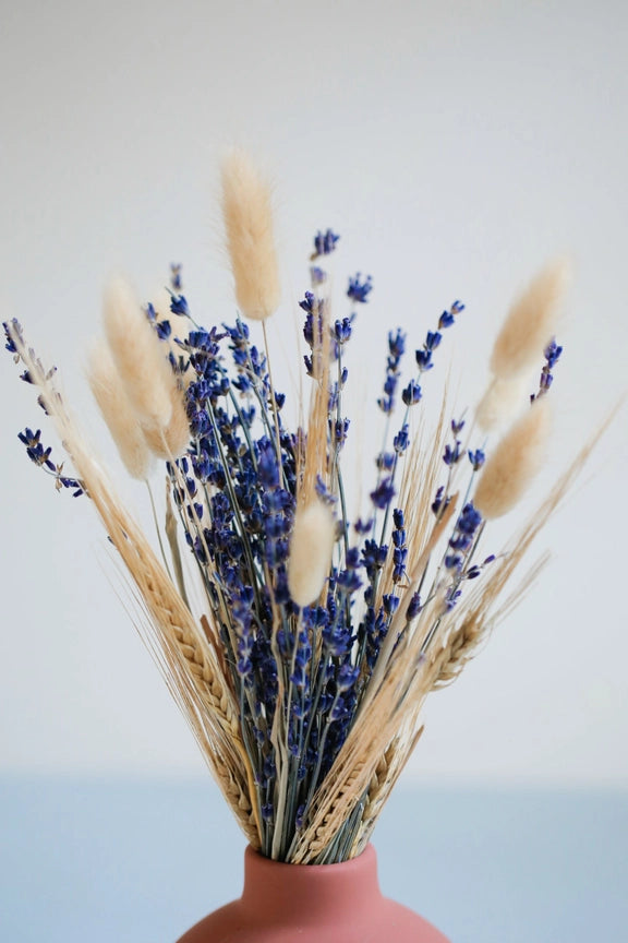 Wild Collection | Trockenblumenstrauss Provence