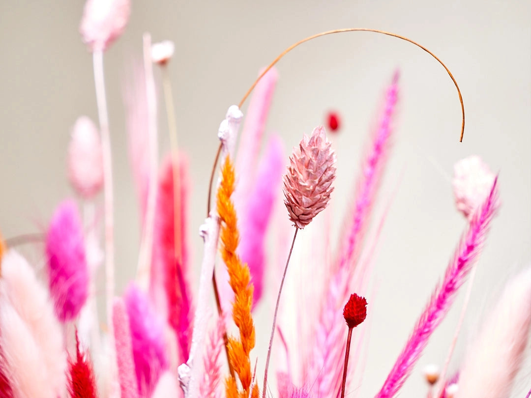 Wild Collection | Trockenblumenstrauss Coral